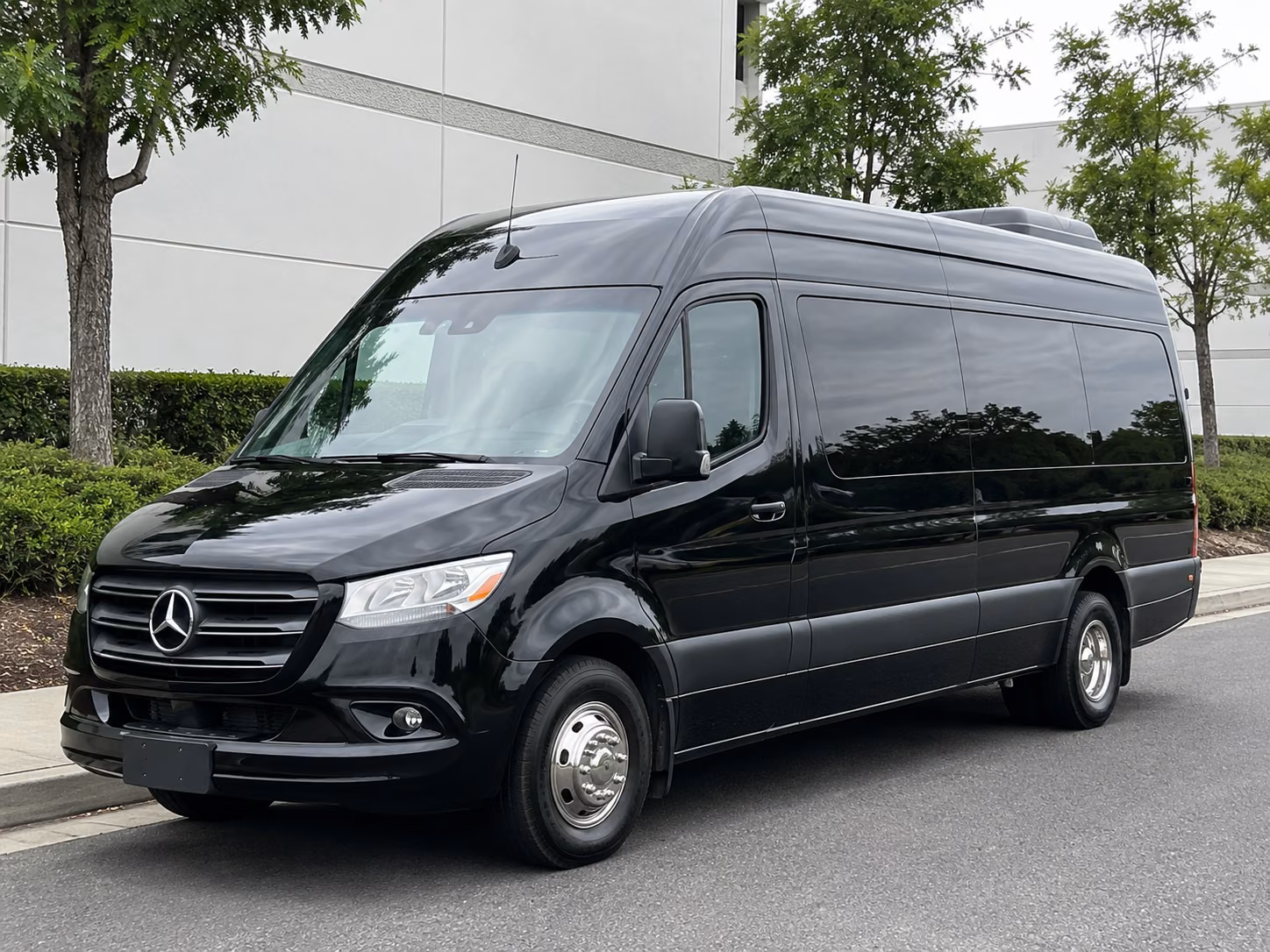 san jose sprinter van with driver